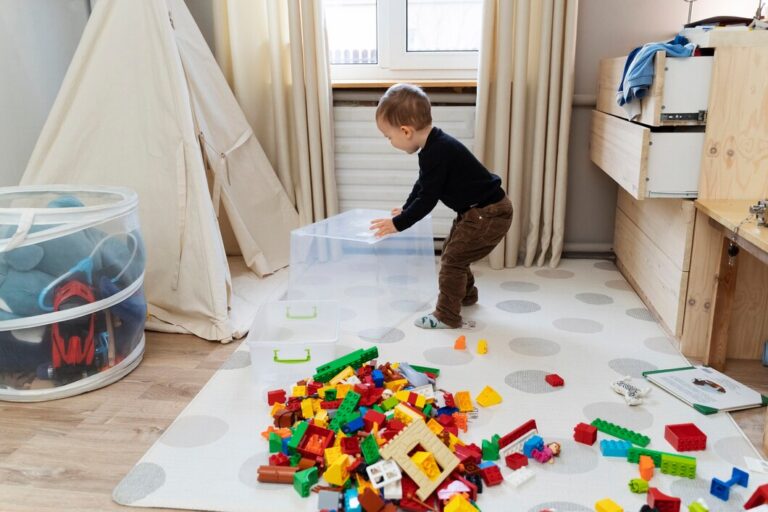 Play Area